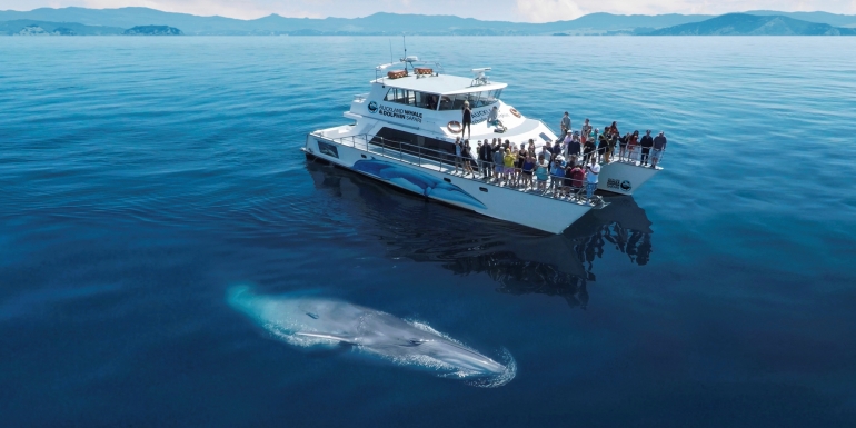 Tax Relief for tourism businesses