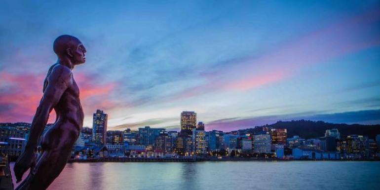 Scenic Solace in the wind, Wellington