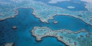 Barrier Reef business boost