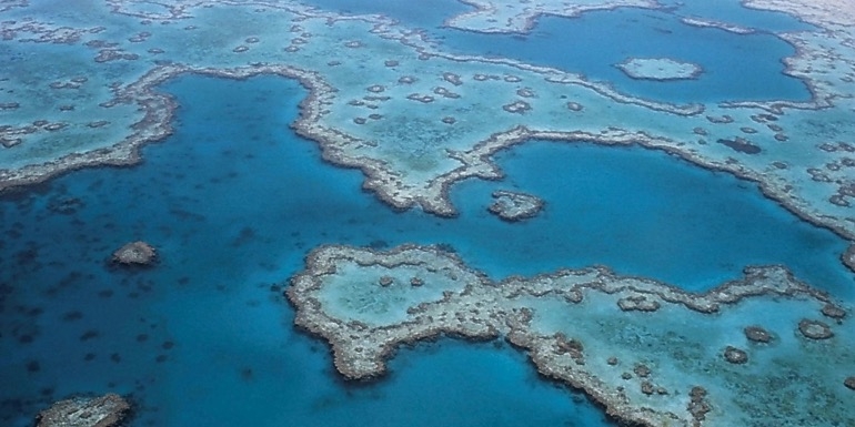 Barrier Reef business boost